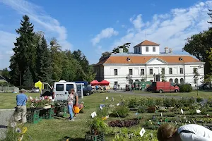 The village Věžky image