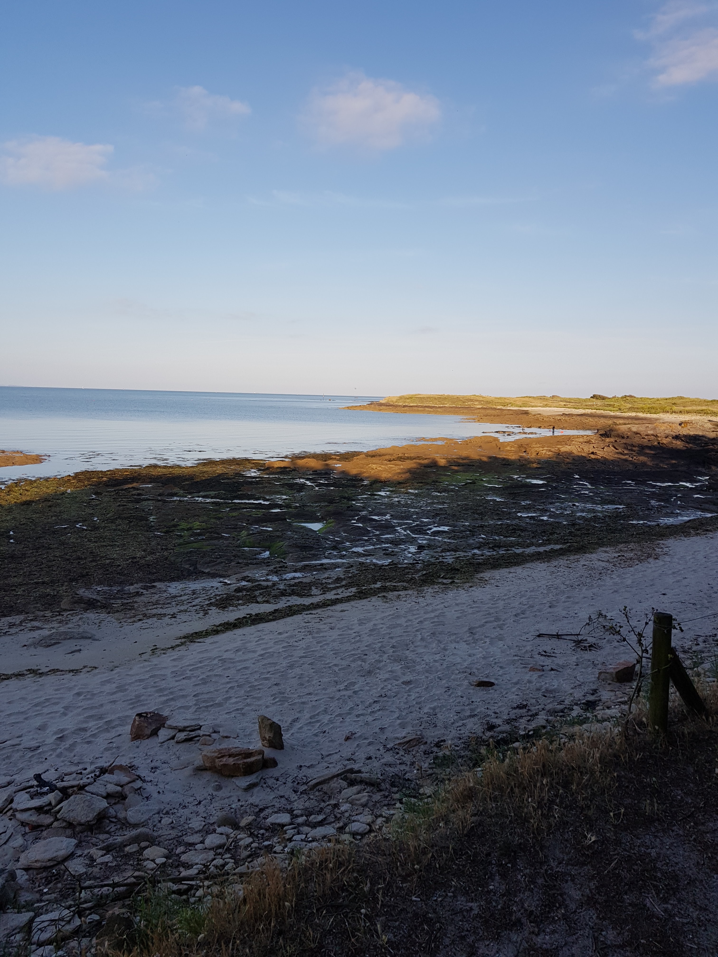 Photo n° 3 de l'avis de Aurélie.e fait le 23/06/2019 à 20:21