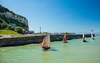 Courlis de la Manche Saint-Valery-en-Caux