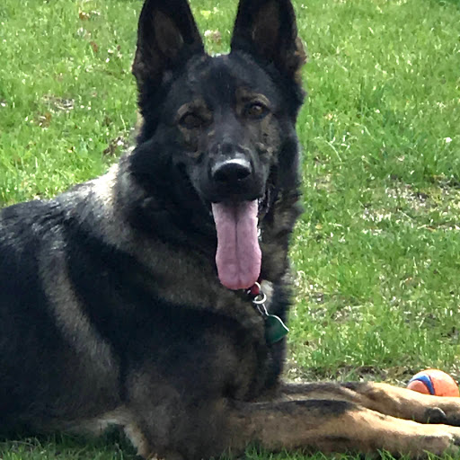 Pet Supply Store «Pet Supplies Plus», reviews and photos, 955 Co Rd E East #100, Vadnais Heights, MN 55127, USA