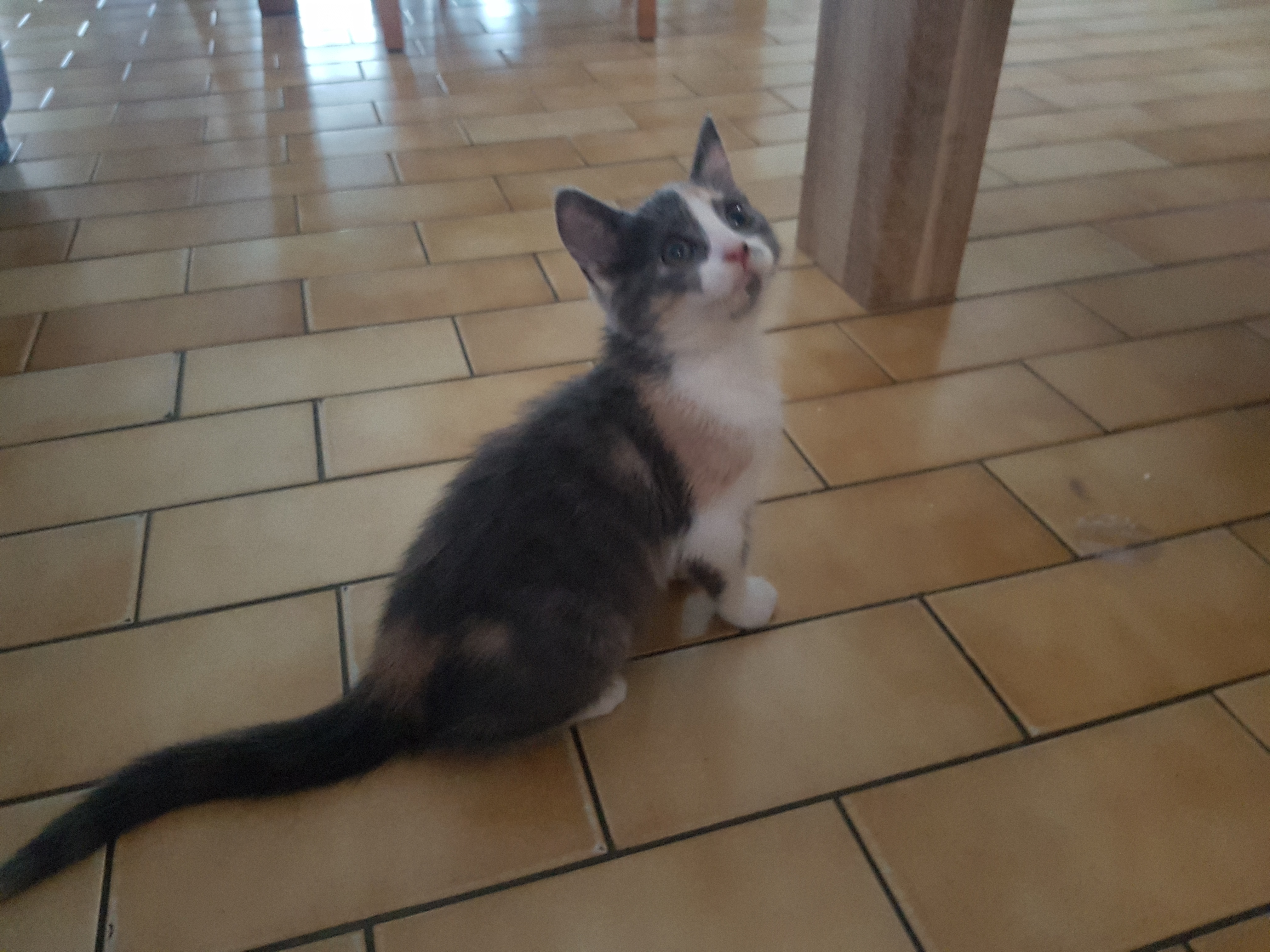 Photo n° 1 de l'avis de Stephane.e fait le 31/08/2019 à 13:32