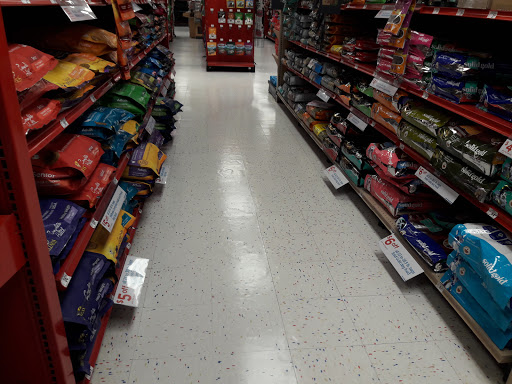 Pet Supply Store «Petco Animal Supplies», reviews and photos, 1919 El Camino Real, Mountain View, CA 94040, USA