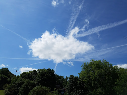 Golf Course «Shelby Golf Course», reviews and photos, 2021 Fatherland St, Nashville, TN 37206, USA