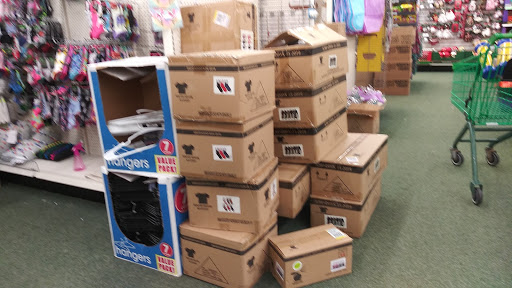 Dollar Store «Dollar Tree», reviews and photos, 8545 Edinburgh Centre Dr, Brooklyn Park, MN 55443, USA