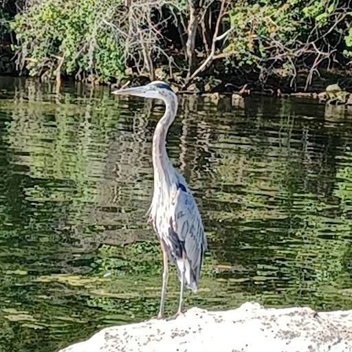 Park «Lake Erie Metropark», reviews and photos, 32481 W Jefferson Ave, Brownstown Charter Twp, MI 48173, USA