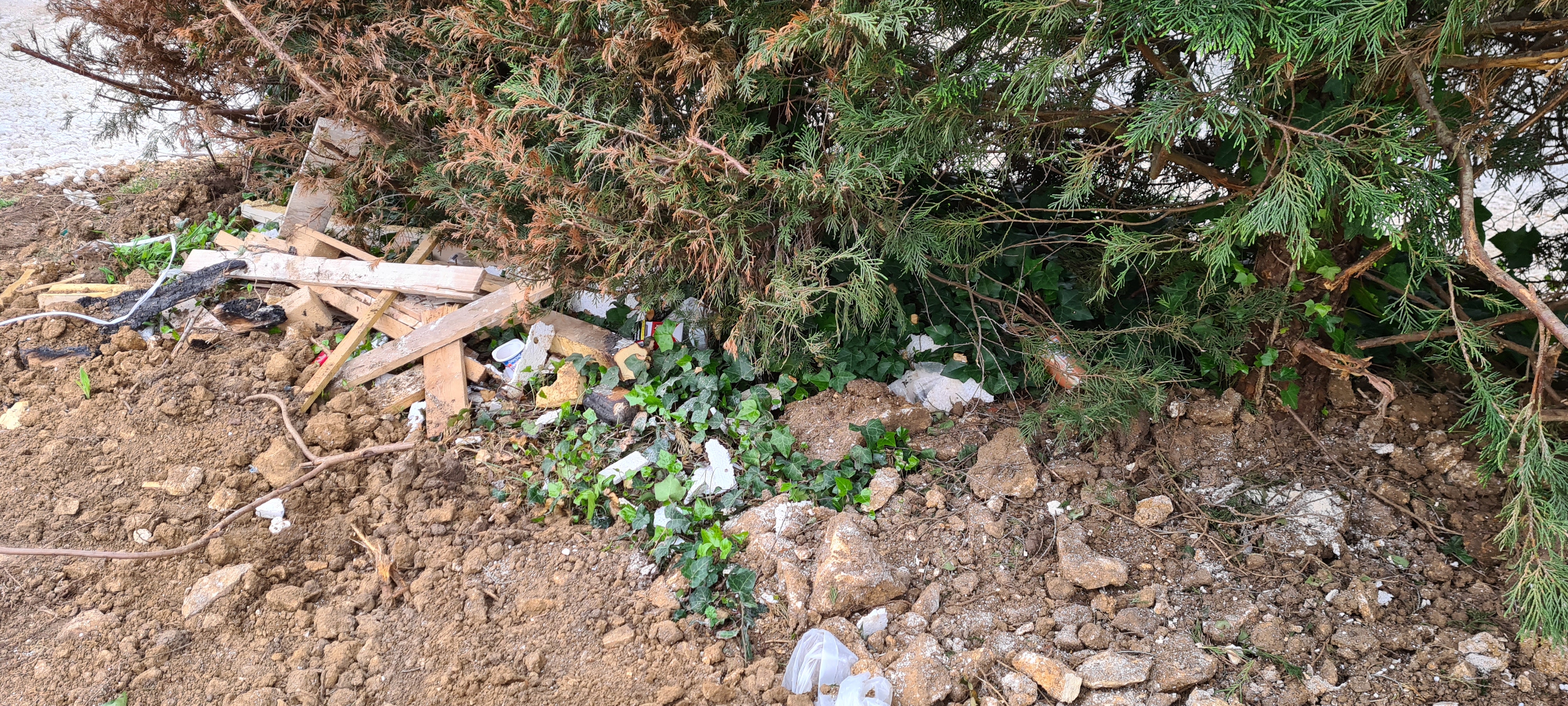 Photo n° 2 de l'avis de Didier.e fait le 08/07/2022 à 18:34