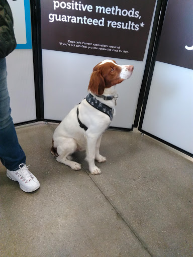 Pet Supply Store «Petco Animal Supplies», reviews and photos, 3430 W State St, Grand Island, NE 68803, USA