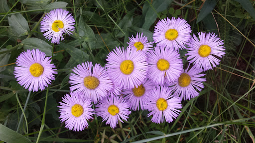 State Park «Cheyenne Mountain State Park», reviews and photos, 410 JL Ranch Heights Rd, Colorado Springs, CO 80926, USA
