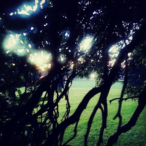 Park «Clinton City Park», reviews and photos, 5576 SE Division St, Portland, OR 97206, USA