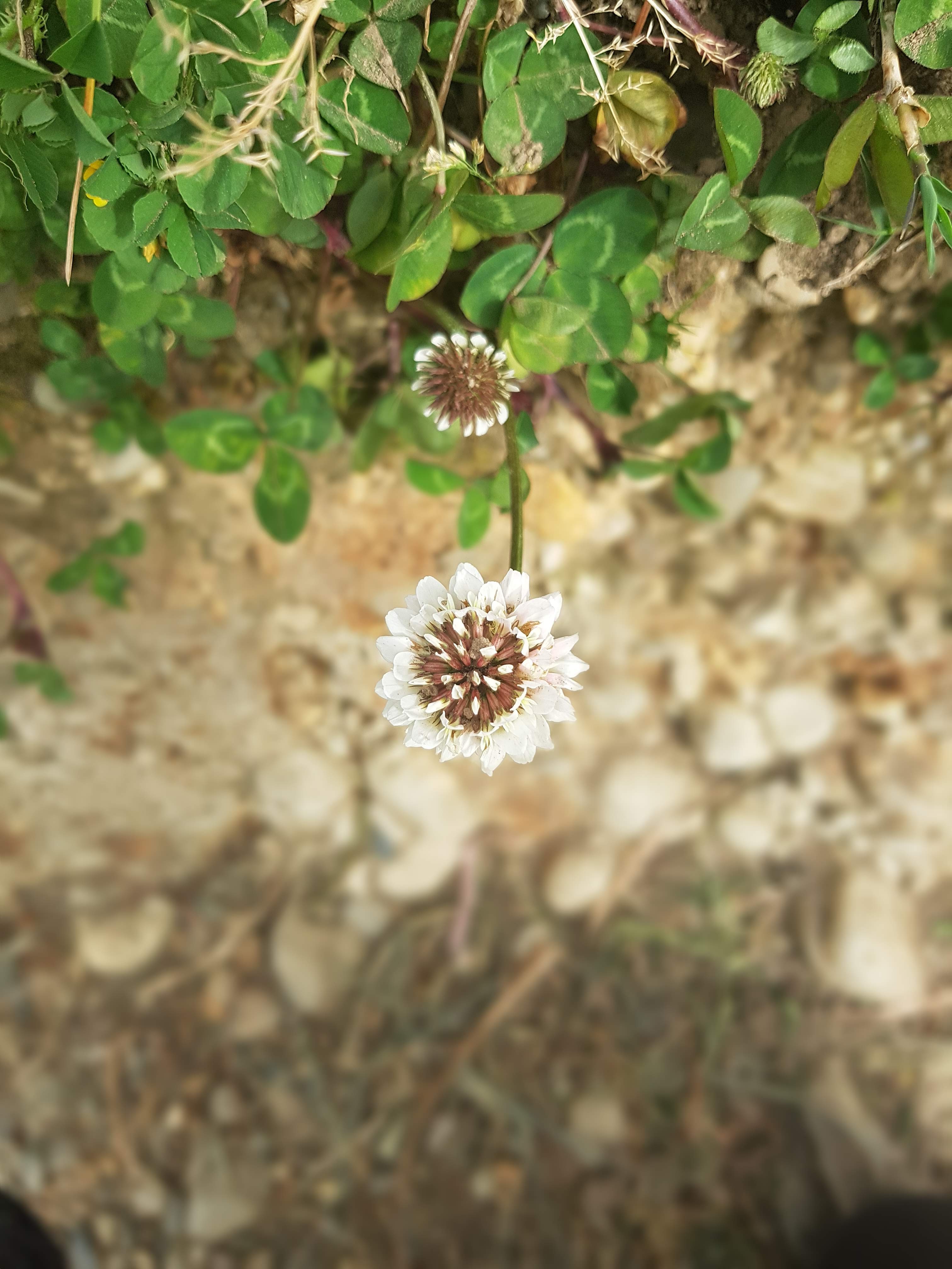 Photo n° 5 de l'avis de Emz.. fait le 18/05/2019 à 10:08