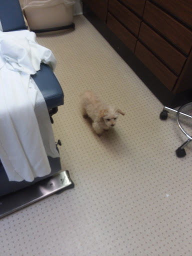 92 Half Mile Rd, Red Bank, NJ 07701, USA