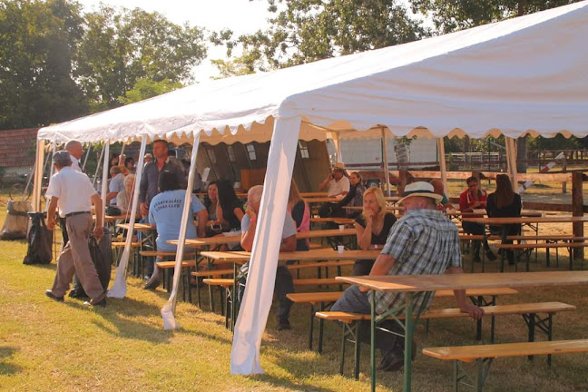 Opinii despre Kondoros, Lóversenypálya în Kondoros - Szórakozóhely