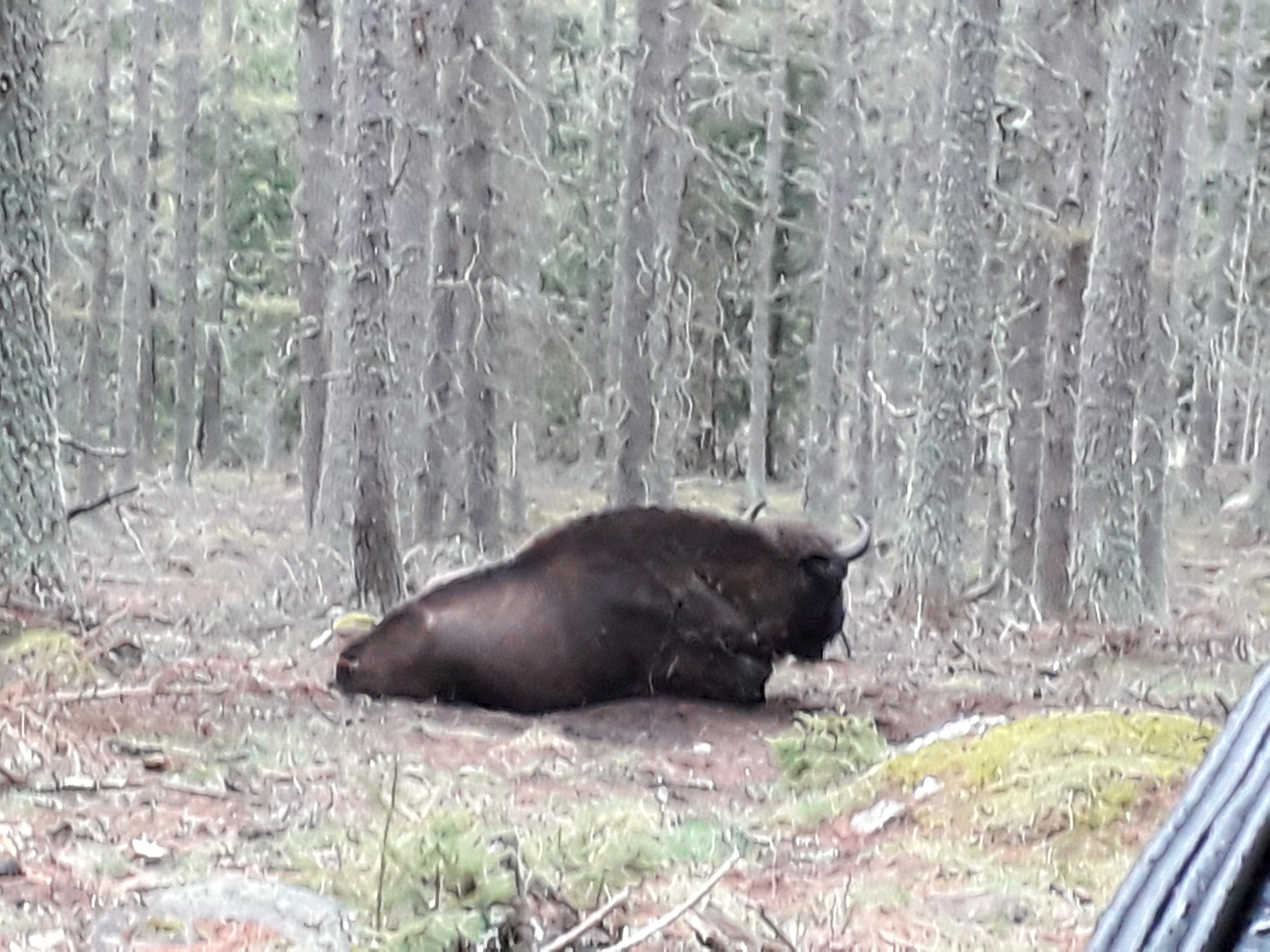 Photo n° 4 de l'avis de Florence.R fait le 14/05/2019 à 06:31