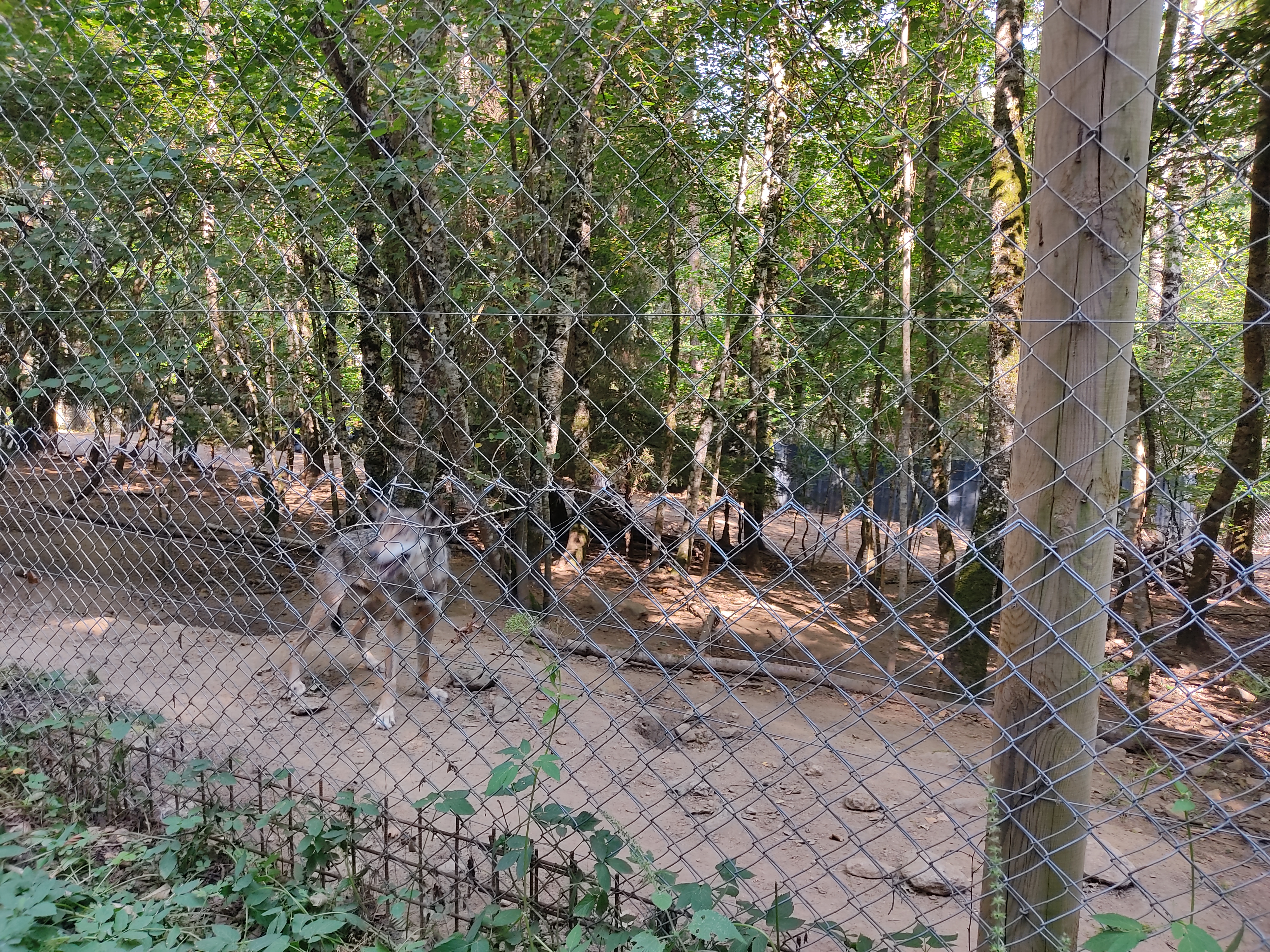 Photo n° 4 de l'avis de Delphine.e fait le 17/08/2022 à 19:26