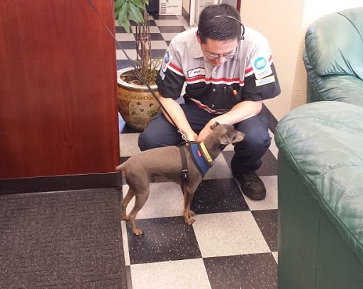 Auto Repair Shop «GIC Car Clinic», reviews and photos, 375 Bird Ave, San Jose, CA 95126, USA