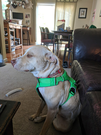 Pet Supply Store «Pet Food Warehouse, Ltd.», reviews and photos, 2455 Shelburne Rd, Shelburne, VT 05482, USA