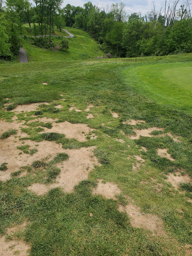 Golf Course «Lassing Pointe Golf Course», reviews and photos, 2266 Double Eagle Dr, Union, KY 41091, USA