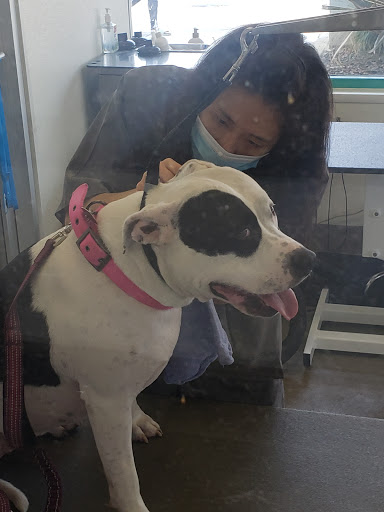 Pet Supply Store «Petco Animal Supplies», reviews and photos, 1591 Sloat Blvd, San Francisco, CA 94132, USA