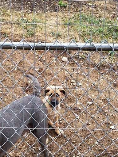 Pet Supply Store «Petco Animal Supplies», reviews and photos, 5190 Borgen Blvd #201, Gig Harbor, WA 98332, USA