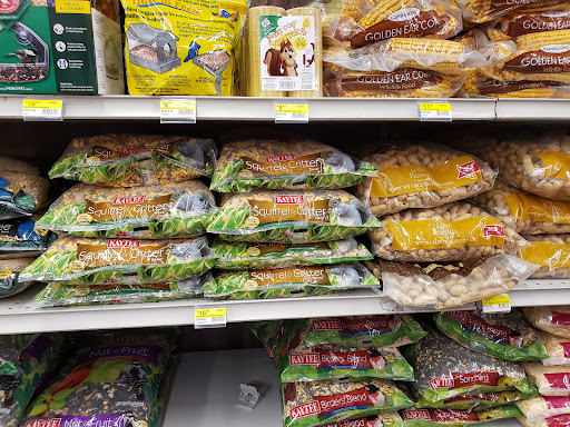 Hardware Store «Pedrotti Ace Hardware», reviews and photos, 830 Southampton Rd, Benicia, CA 94510, USA