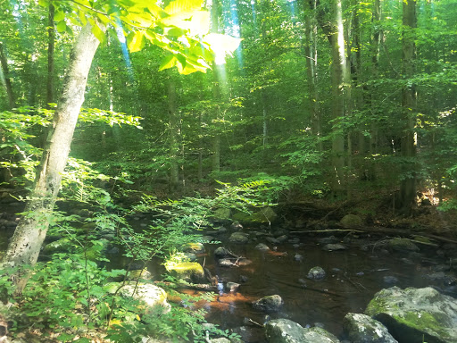 Nature Preserve «Audubon Greenwich», reviews and photos, 613 Riversville Rd, Greenwich, CT 06831, USA
