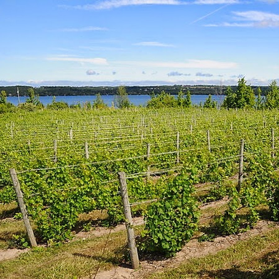 Bel Lago Vineyards & Winery