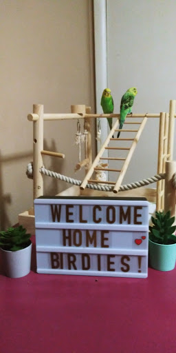 Pet Supply Store «Petco Animal Supplies», reviews and photos, 2435 N Hwy 67, Florissant, MO 63033, USA