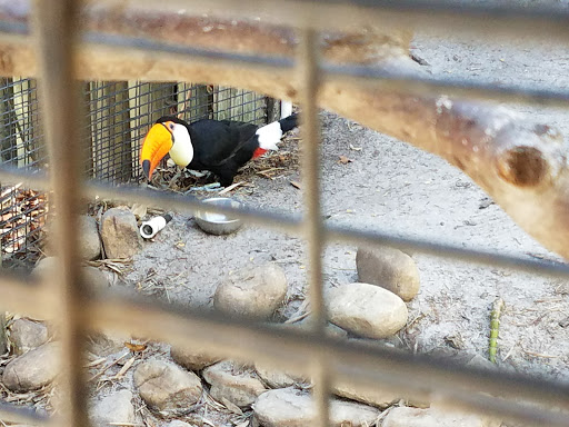 Zoo «Gulf Breeze Zoo», reviews and photos, 5701 Gulf Breeze Pkwy, Gulf Breeze, FL 32563, USA