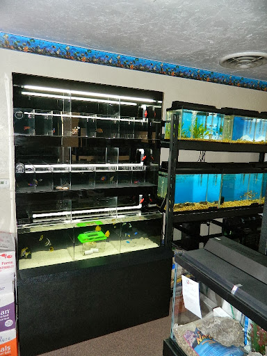 Tropical Fish Store «Tropical Pet Oasis», reviews and photos, 10218 Progress Ln, Parker, CO 80134, USA