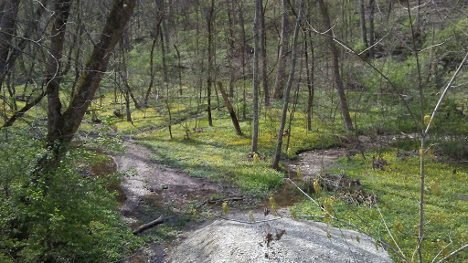 Park «Carter Park», reviews and photos, 1720 King Ave, Kings Mills, OH 45034, USA