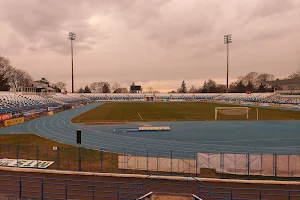 Emil Alexandrescu Stadium image
