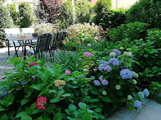 Photos du propriétaire hôtels VILLA ROSA RESIDENCE 417 01 Dubí