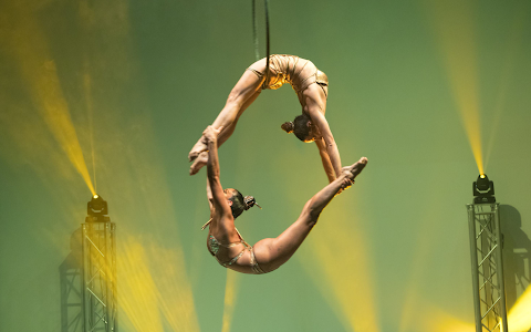 Miami Circus Arts Center (LADD Foundation) image