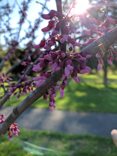 Park «Harford Glen Park», reviews and photos, 502 W Wheel Rd, Bel Air, MD 21015, USA