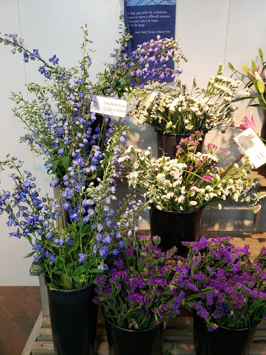 Florist «Bonnie Brae Flowers Inc», reviews and photos, 5595 E Evans Ave, Denver, CO 80222, USA