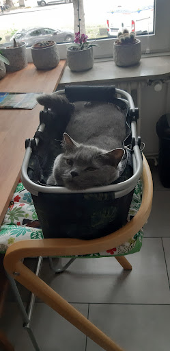 Dr. Roderich und Gereon Krebber GbR unter Oberhausen, Nordrhein-Westfalen