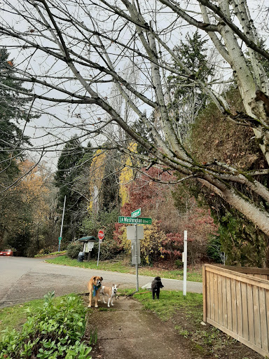 Park «Frink Park», reviews and photos, 398 Lake Washington Blvd S, Seattle, WA 98144, USA