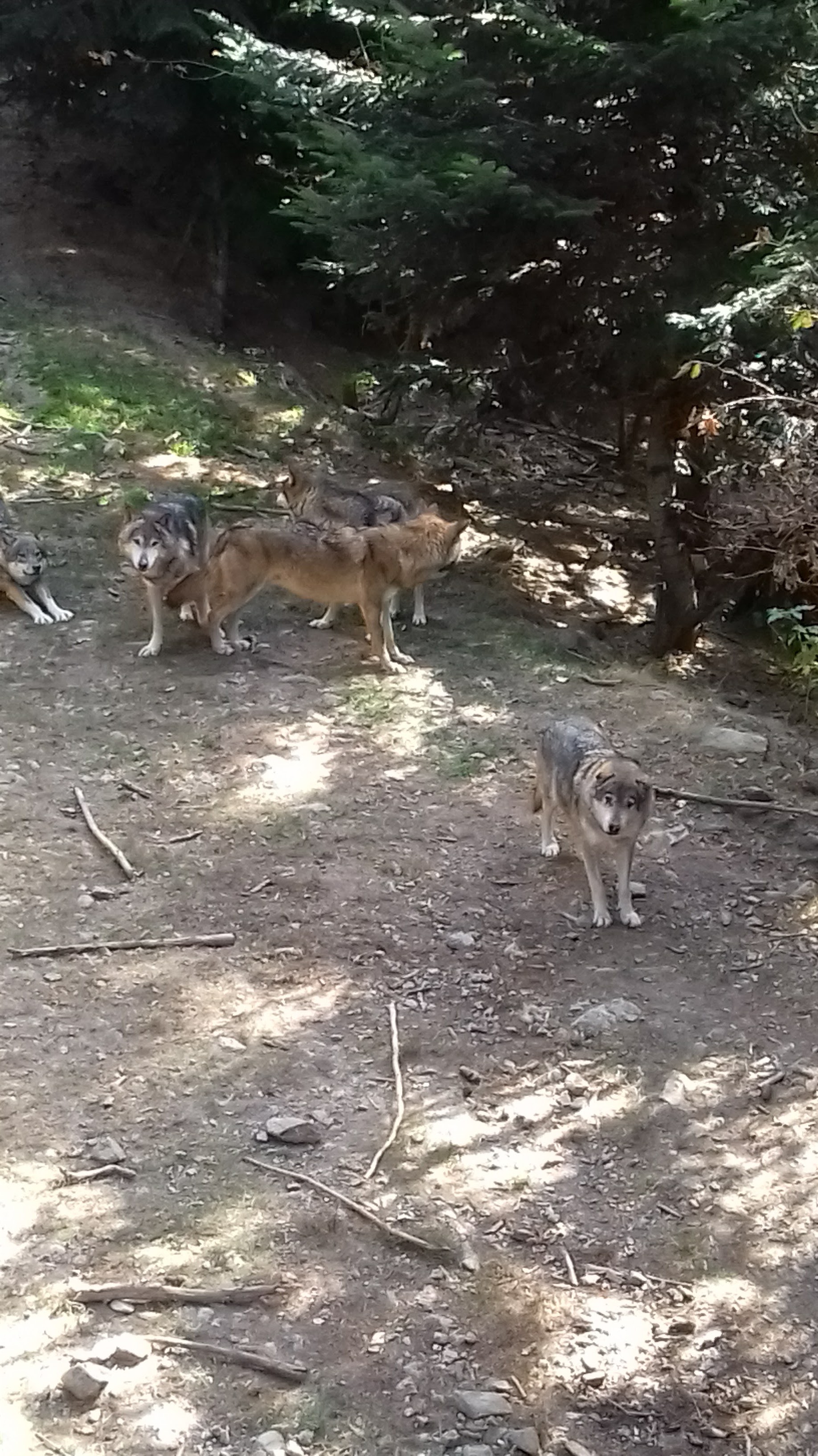 Photo n° 2 de l'avis de Erwan.o fait le 09/03/2018 à 20:34