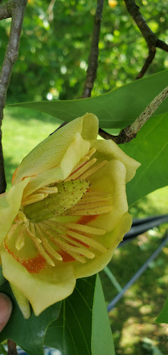 State Park «Taylorsville Lake State Park», reviews and photos, 1320 Park Rd, Mt Eden, KY 40046, USA