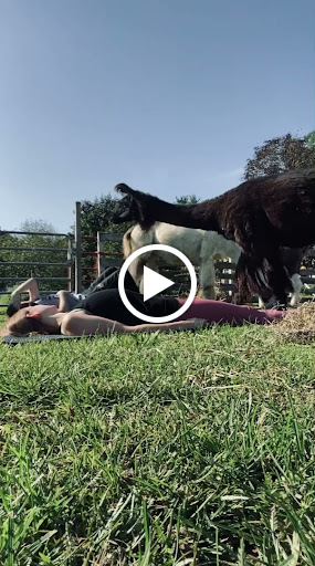 Farm «Dakota Ridge Farm», reviews and photos, 189 E High St, Ballston Spa, NY 12020, USA