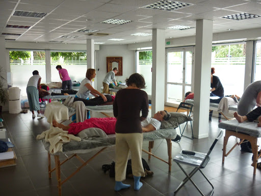 Institut de médecine chinoise de Toulouse