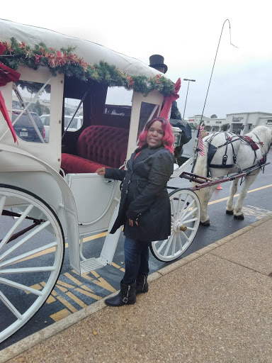 Shopping Mall «Hilltop East Shopping Center», reviews and photos, 1544 Laskin Rd, Virginia Beach, VA 23451, USA