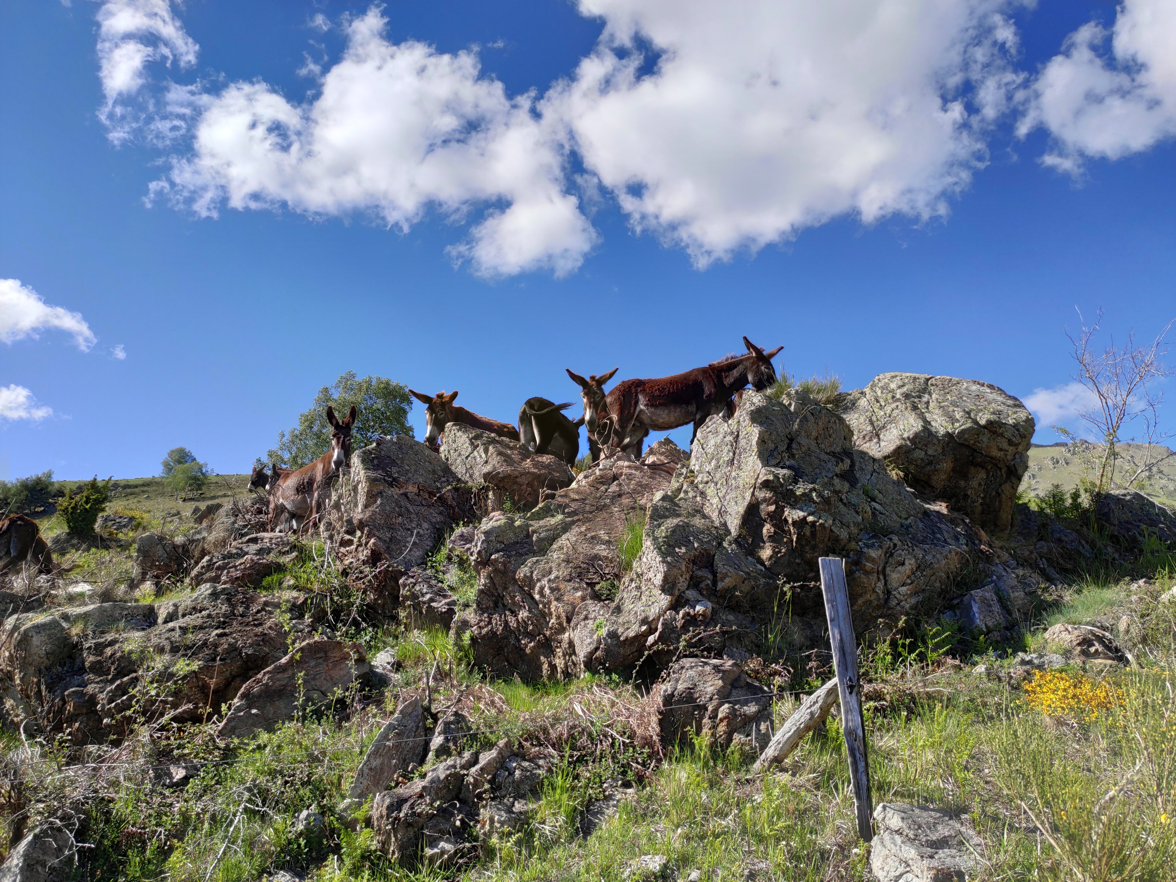 Photo n° 31 de l'avis de Florian.o fait le 04/06/2019 à 10:25