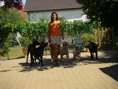 FERME D'ASTRALE à Wuenheim