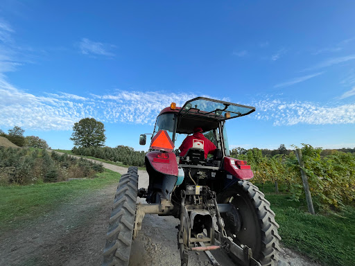 Farm «Jones Family Farms», reviews and photos, 606 Walnut Tree Hill Rd, Shelton, CT 06484, USA