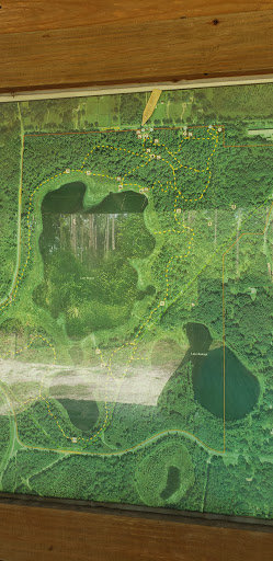 Park «Lake Rogers Park», reviews and photos, 9010 N Mobley Rd, Odessa, FL 33556, USA