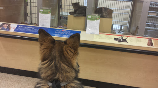 Pet Supply Store «PetSmart», reviews and photos, 11860 Spectrum Center, Reston, VA 20190, USA