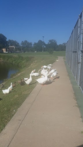 Public Swimming Pool «Splashville», reviews and photos, 850 S Graham Ave, Stephenville, TX 76401, USA