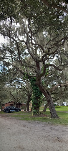 Boat Tour Agency «Alligator Cove Airboat Nature Tours», reviews and photos, 14900 Camp Mack Rd, Lake Wales, FL 33898, USA