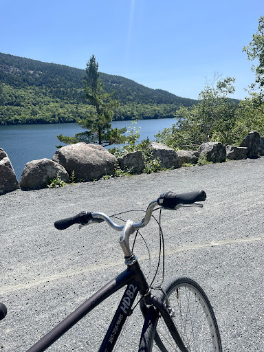 Bicycle Store «Acadia Bike & Canoe», reviews and photos, 48 Cottage St, Bar Harbor, ME 04609, USA